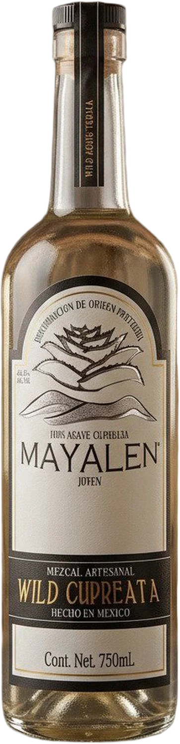 Botella Mayalen Cupreata